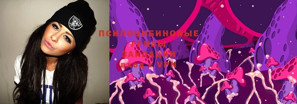 герыч Бронницы