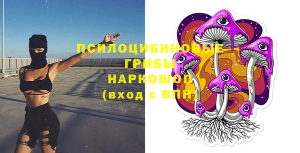 герыч Бронницы