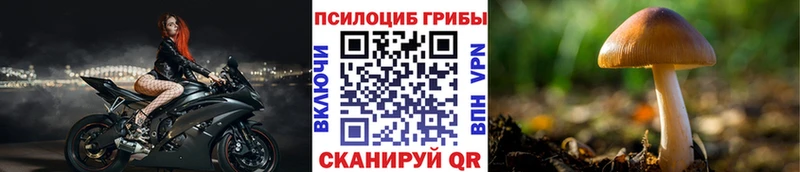 Псилоцибиновые грибы Psilocybine cubensis  купить наркотик  Оренбург 